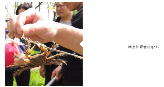 诸侯快讯网集团业务事业群Q1季度绩优游——为梦想释放狂野391.png